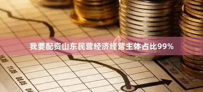 我要配资山东民营经济经营主体占比99%