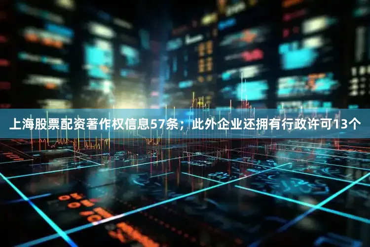 上海股票配资著作权信息57条；此外企业还拥有行政许可13个