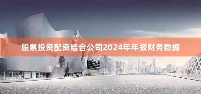 股票投资配资结合公司2024年年报财务数据
